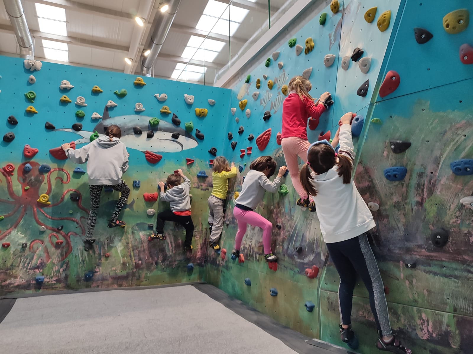 niños escalada en cantabria rocodromo de boulder escalar climbing center en torrelavega